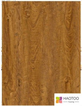 HT221-1-color